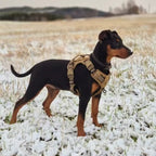 Köpek Göğüs Tasması Yansıtıcı 29189