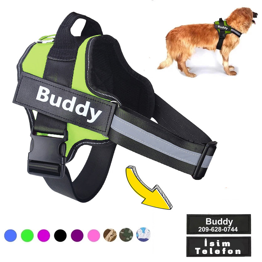 Köpek Göğüs Tasması İSİMLİ 17256