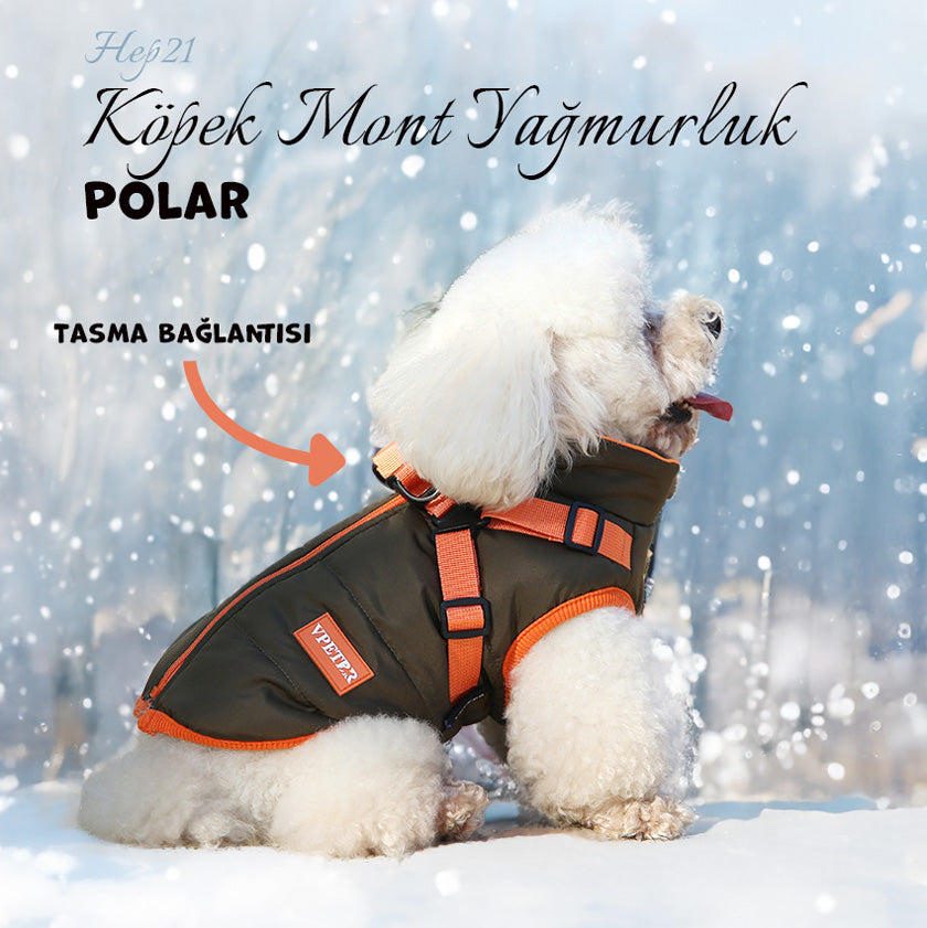 Köpek Yağmurluk Mont Polar İç 292404
