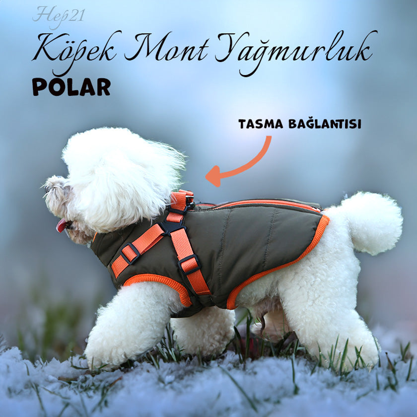 Köpek Yağmurluk Mont Polar İç 292404
