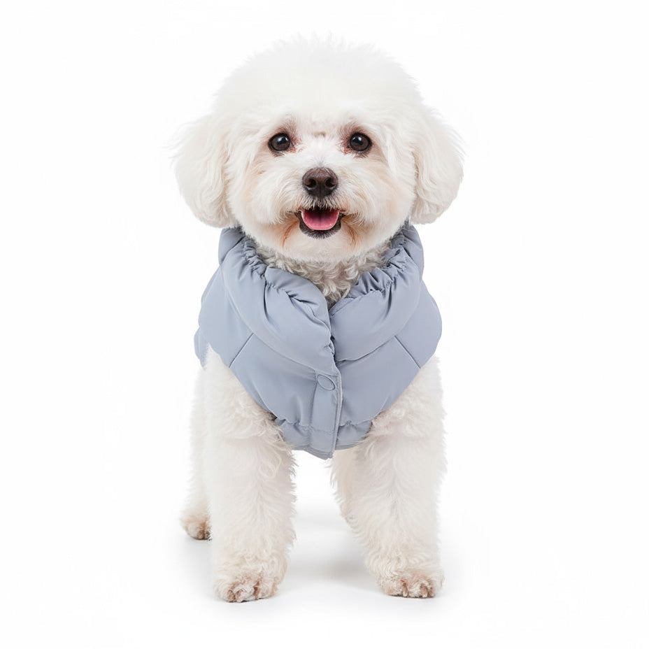 Köpek Mont Ceket 71366