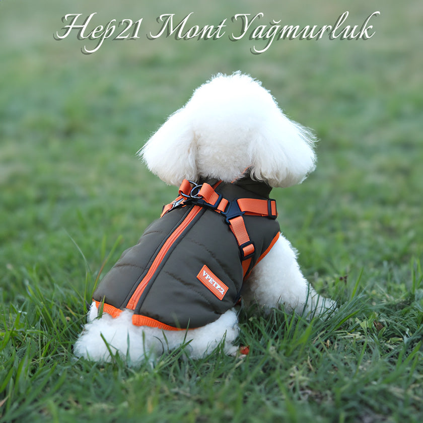 Köpek Yağmurluk Mont Polar İç 292404