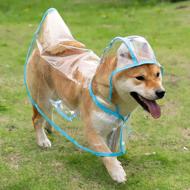 Köpek Yağmurluk Kolay Kullanım 81054