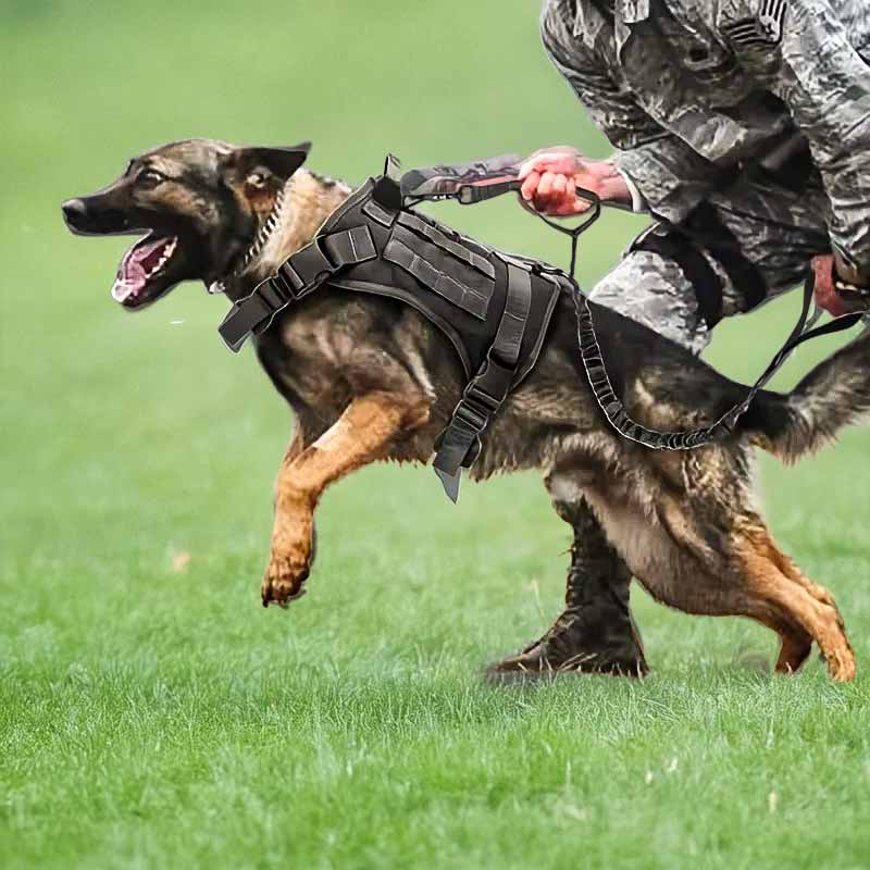 Köpek Göğüs Tasması SET Tactical 39810022