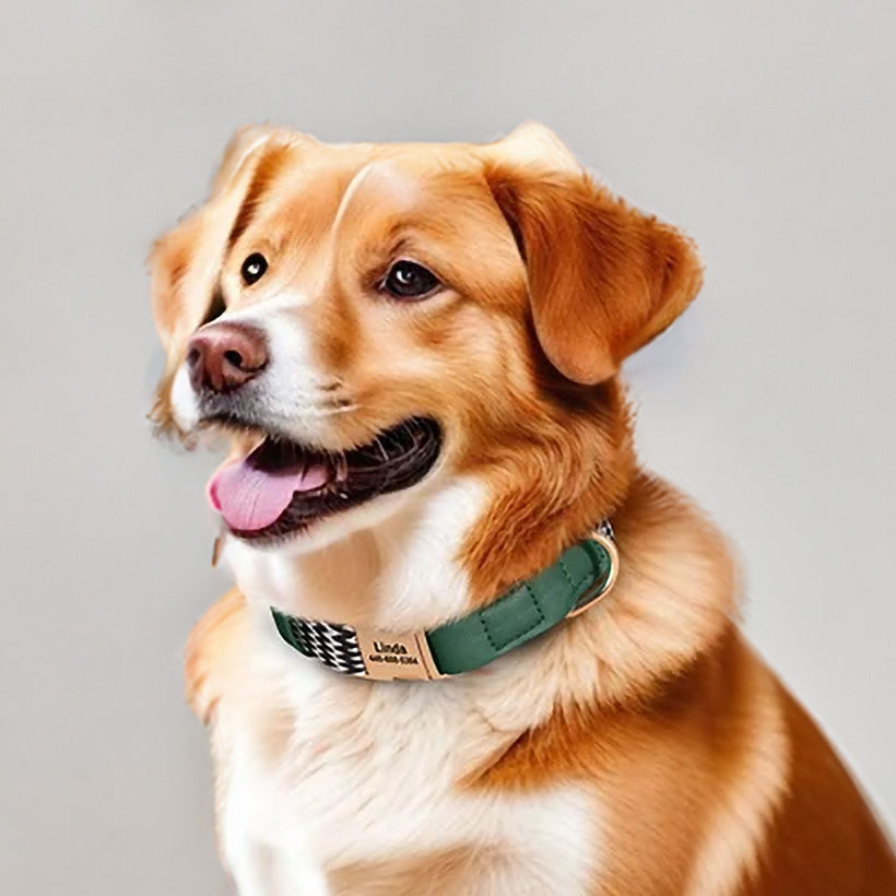 İsimli Köpek Tasması İsimli Deri Boyun Tasması 926476