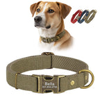 Köpek Tasması İsimli Kanvas 80651