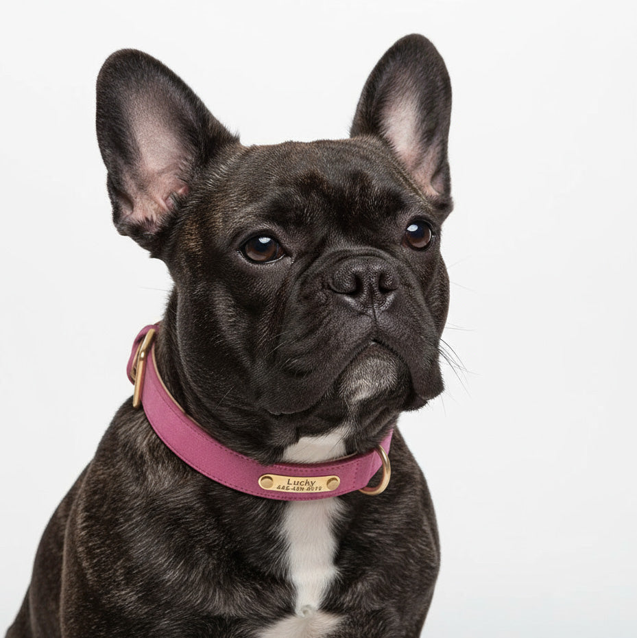 Deri Köpek Tasması İsimli Boyun Tasması 588804