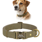 Köpek Tasması İsimli Kanvas 80651