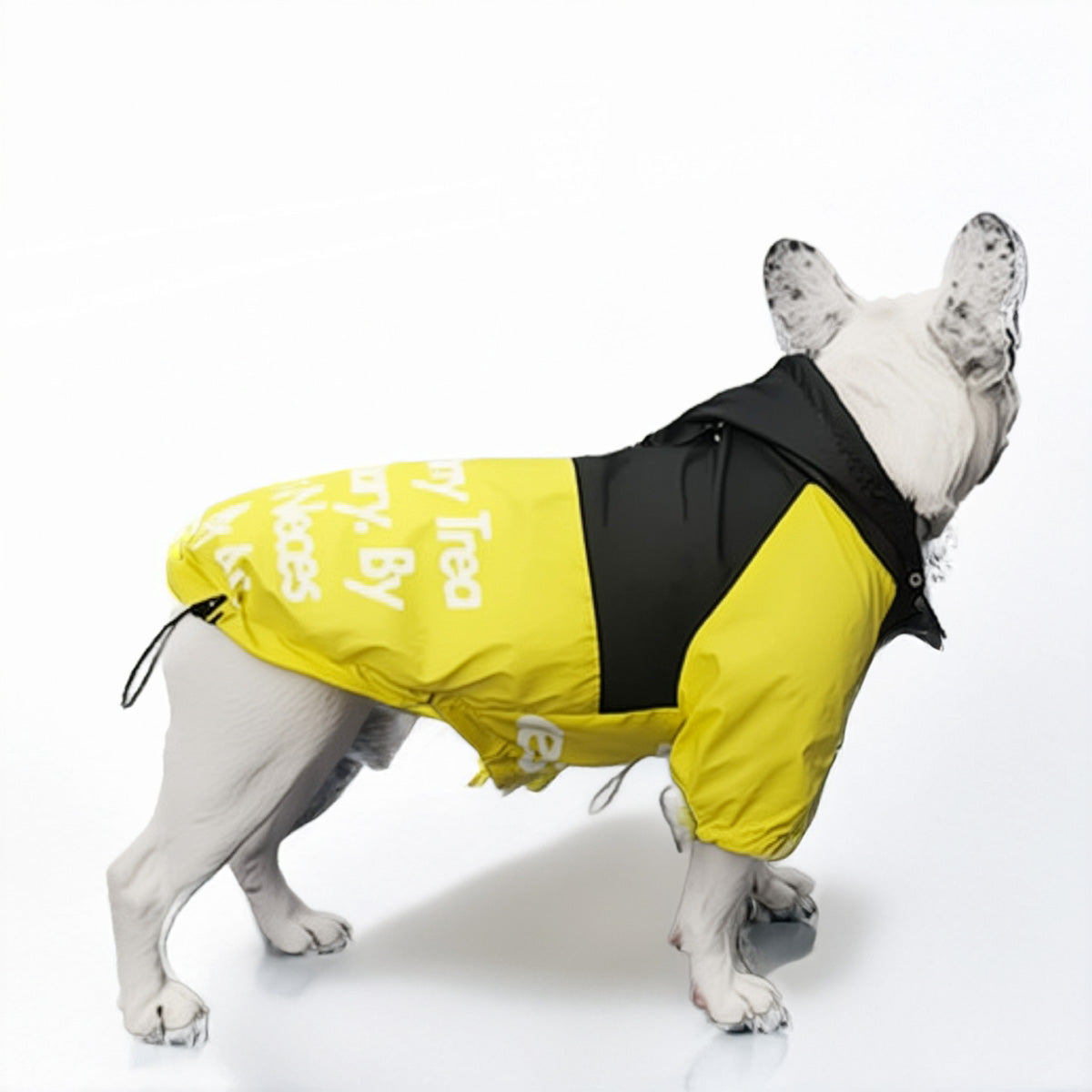 Köpek Yağmurluk 44289509