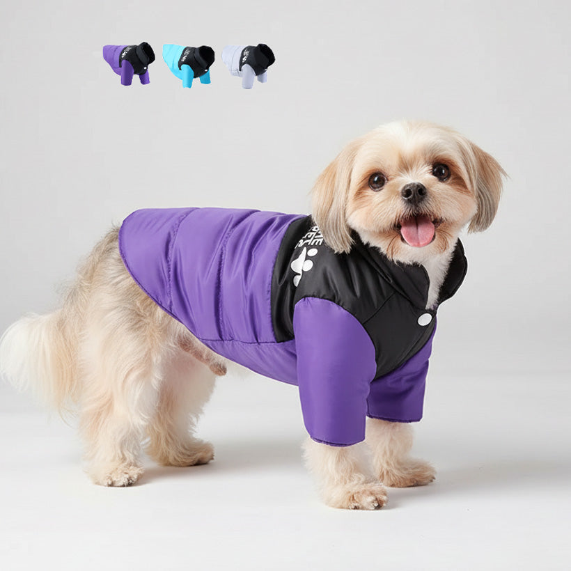 Köpek Yağmurluk 54528