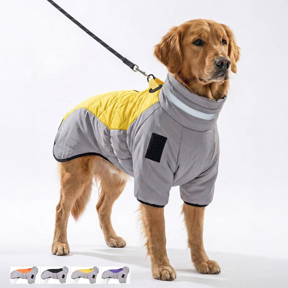 Köpek Yağmurluk 20016029