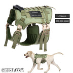 Köpek Göğüs Tasması
