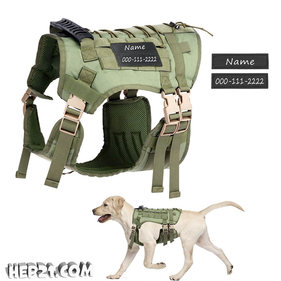 Köpek Göğüs Tasması
