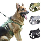 Köpek Göğüs Tasması