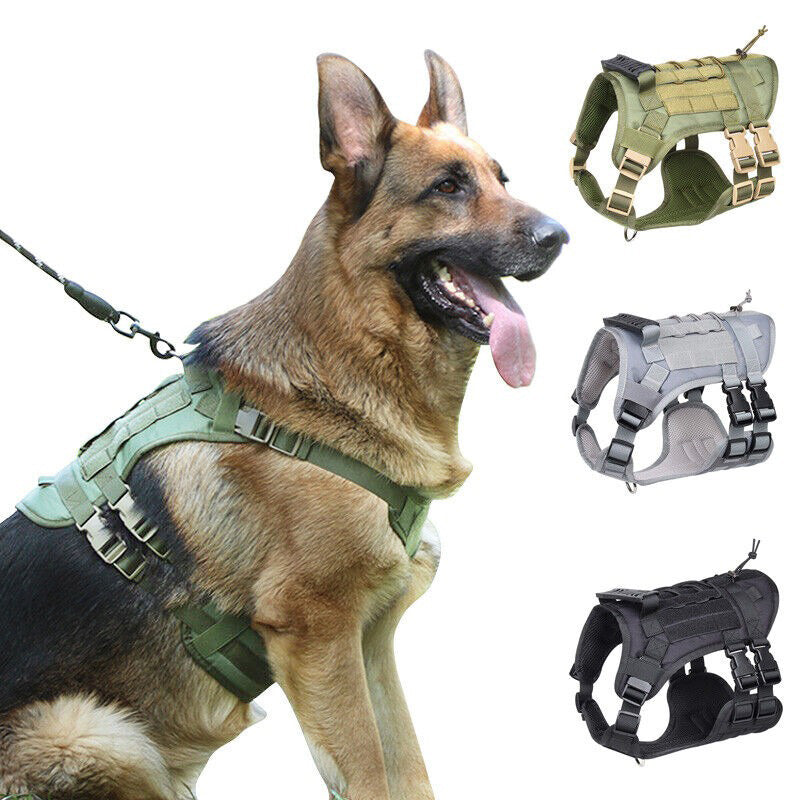 Köpek Göğüs Tasması