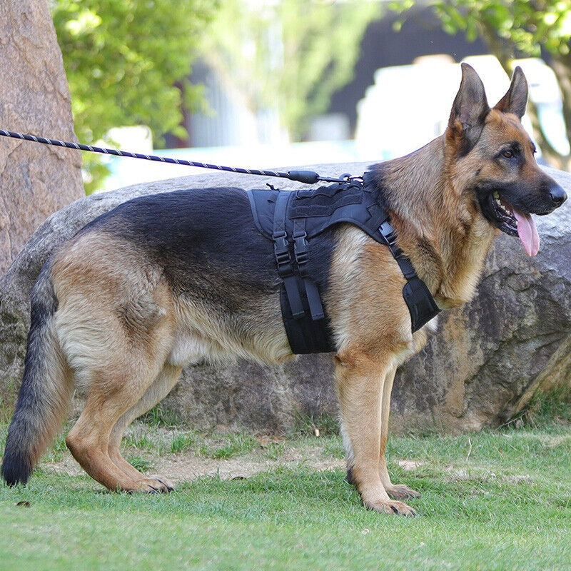 Köpek Göğüs Tasması Tactical isimli 367213