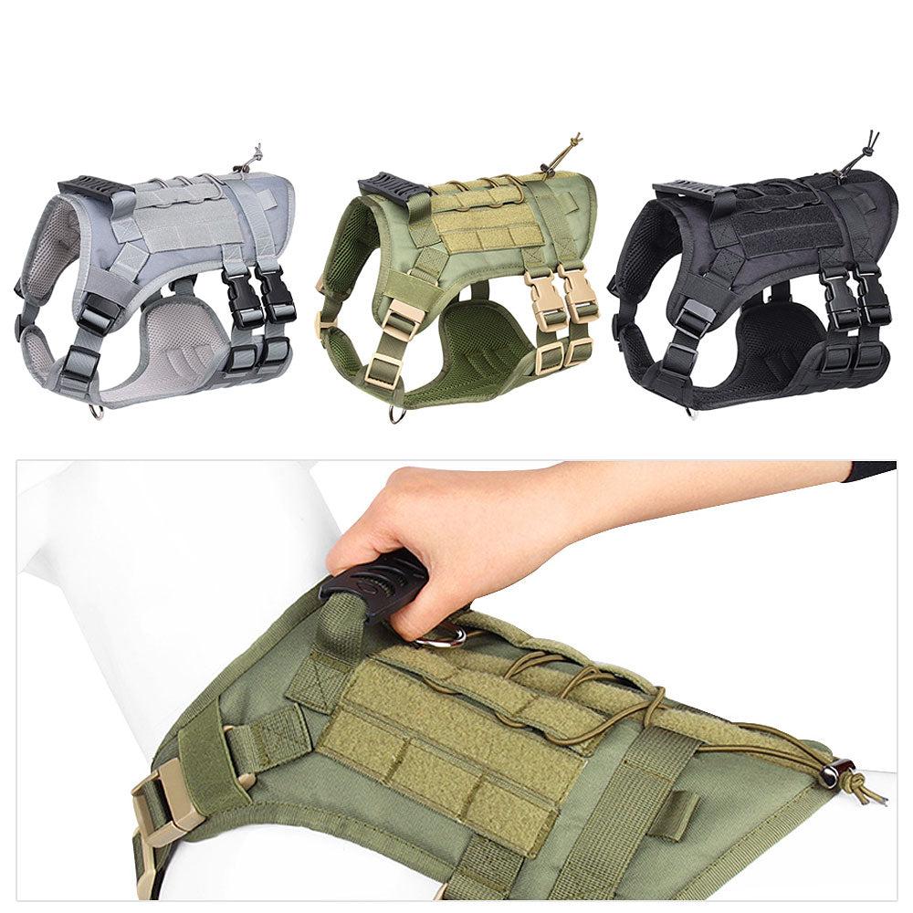 Köpek Göğüs Tasması