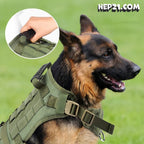Köpek Göğüs Tasması