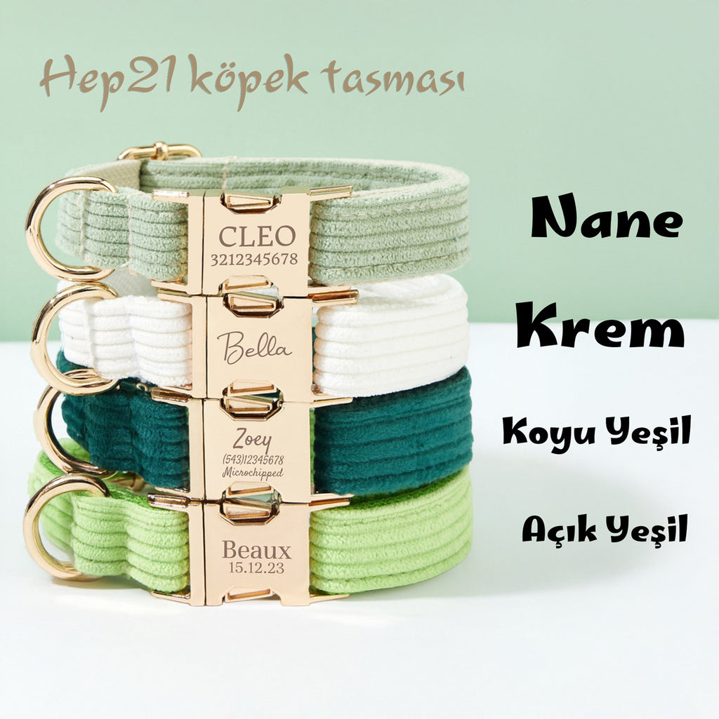Köpek Boyun Tasması İsimli Kadife 446519