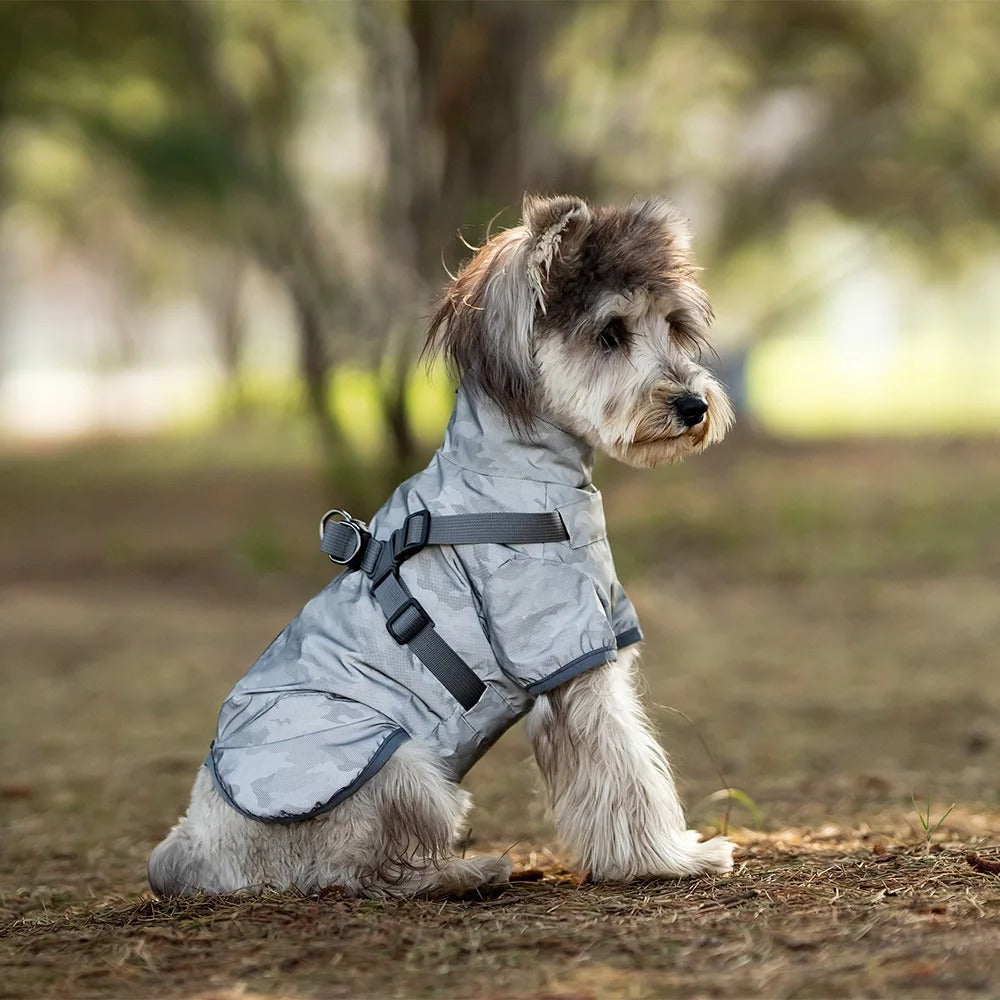 Köpek yağmurluk tasma 70488