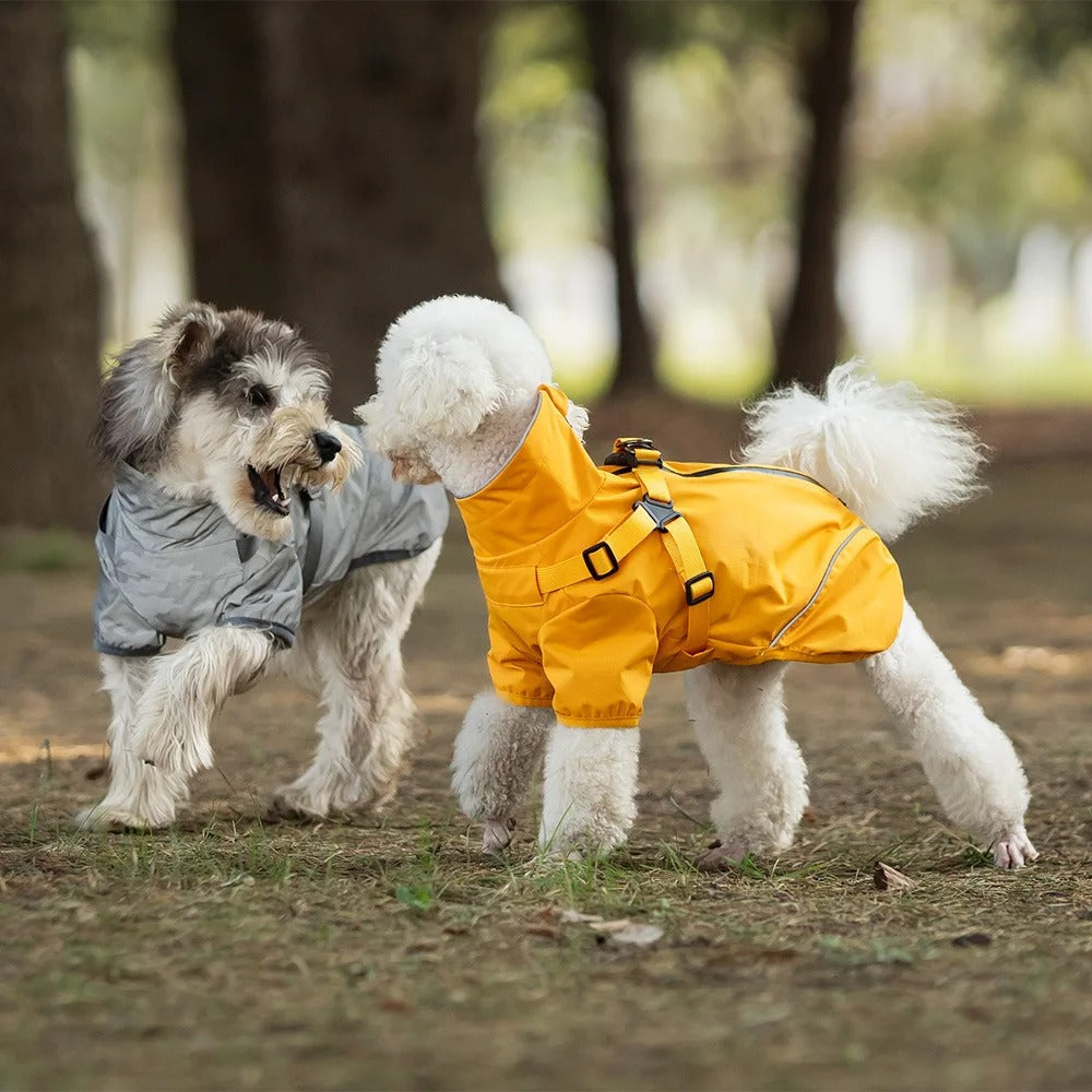 Köpek yağmurluk tasma 70488
