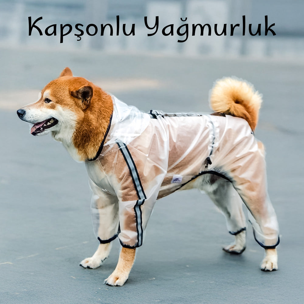 köpek yağmurluk tulum