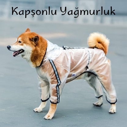 köpek yağmurluk tulum