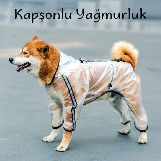 köpek yağmurluk tulum