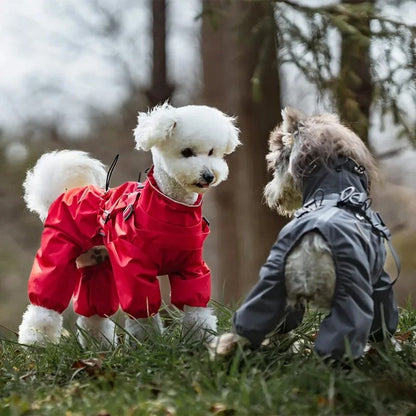 Köpek Yağmurluk Tulum