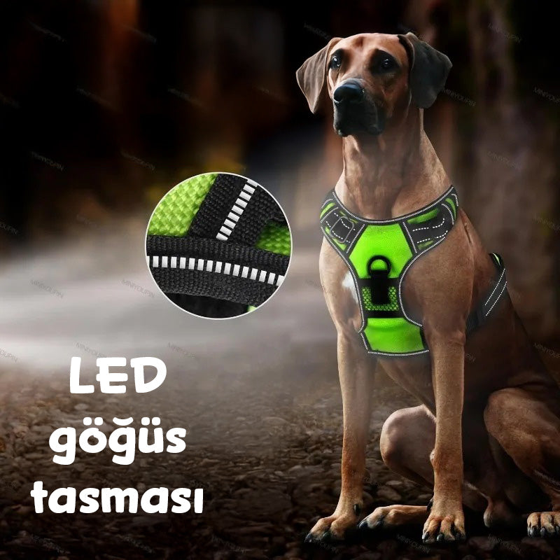 Köpek Göğüs Tasması LED Aydınlatmalı 66652