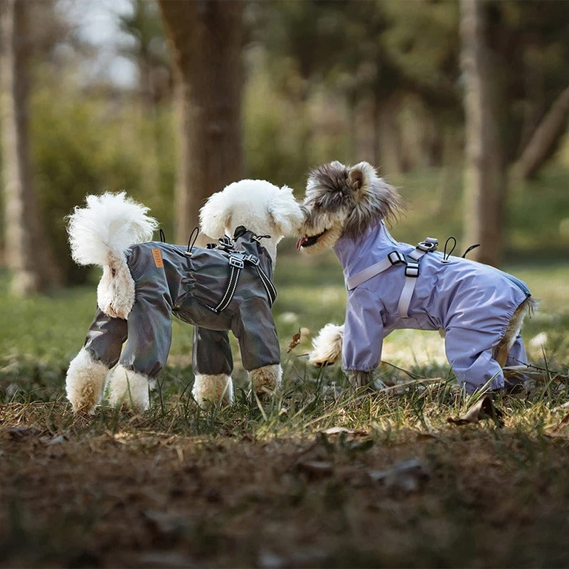 Köpek Yağmurluk Tulum