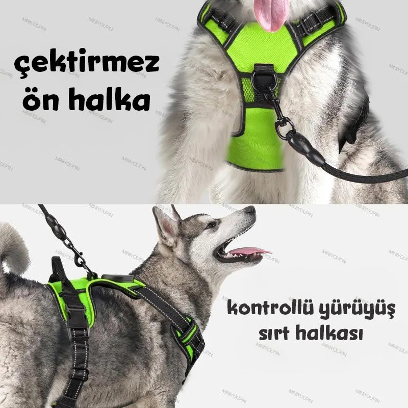 Köpek Göğüs Tasması LED Aydınlatmalı 66652