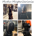 Zincir Tasma İsimli Köpek Tasması 10857168