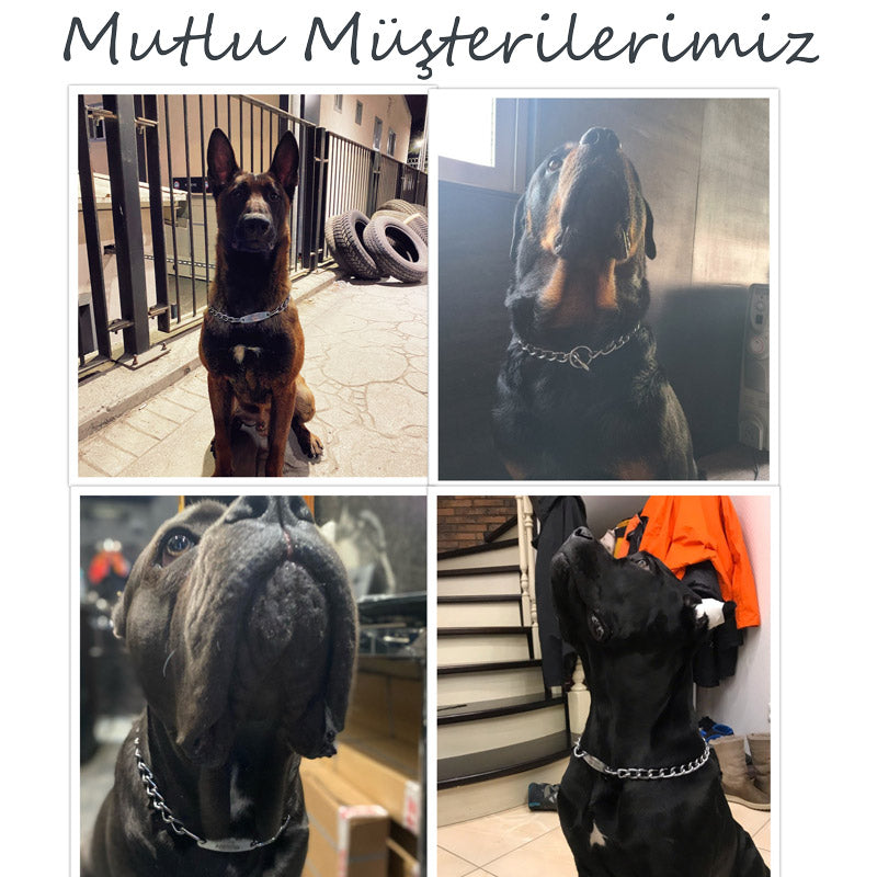 Zincir Tasma İsimli Köpek Tasması 10857168