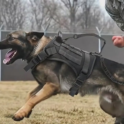 Köpek göğüs tasması Tactical 39810022