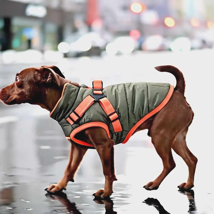 Köpek Yağmurluk Mont Polar İç 292404