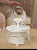 Kedi Su Kabı 95118