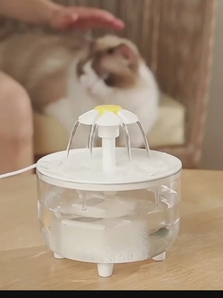 Kedi Su Kabı 37896