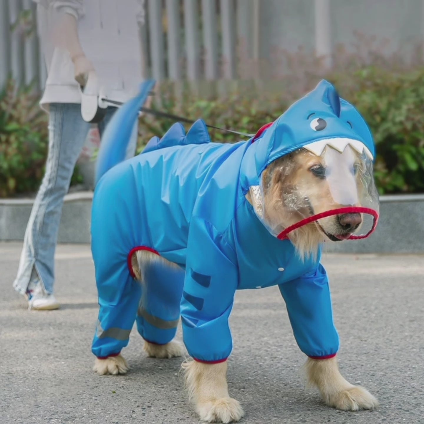 Köpek yağmurluk 20258760