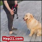 Köpek Göğüs Tasması İSİMLİ 17256