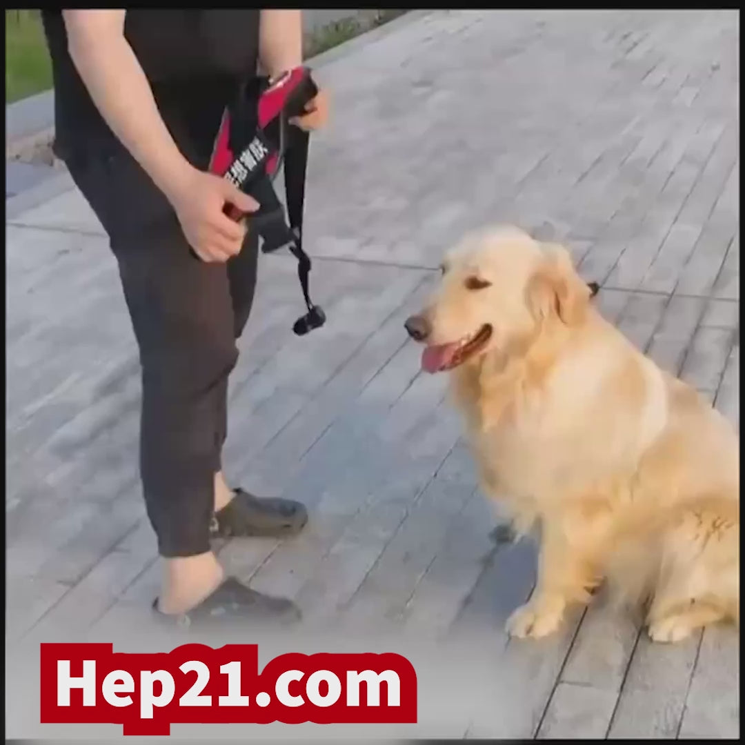 Köpek Göğüs Tasması İSİMLİ 17256
