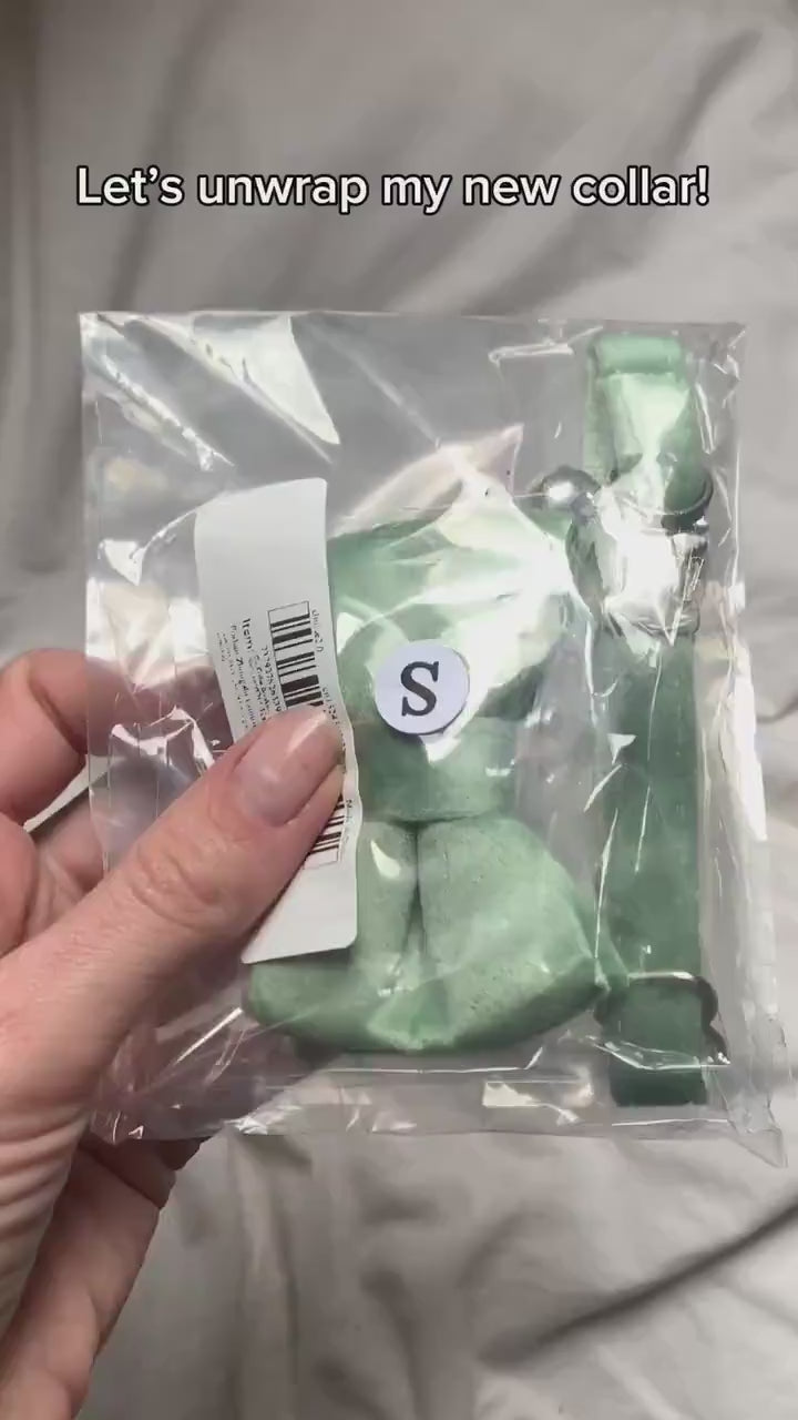 Kedi tasması isimli Zilli kedi tasma 745094