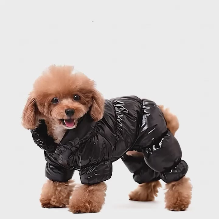 Köpek montu 19564699