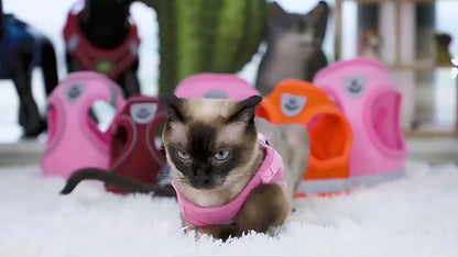 Kedi gezdirme tasması SET 16717568