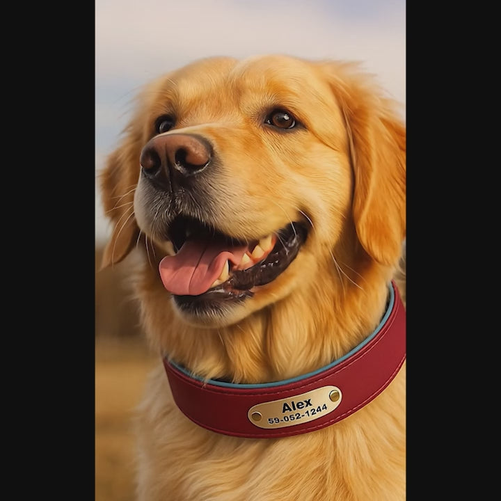 Köpek Tasması Yastıklı isimli Deri Tasma 806672