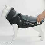 Köpek yağmurluk 40614543
