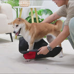 Köpek Yağmurluk Ceket 77349