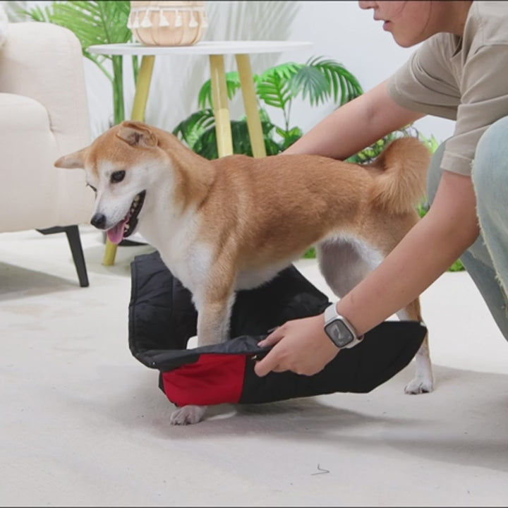 Köpek Yağmurluk Ceket 77349