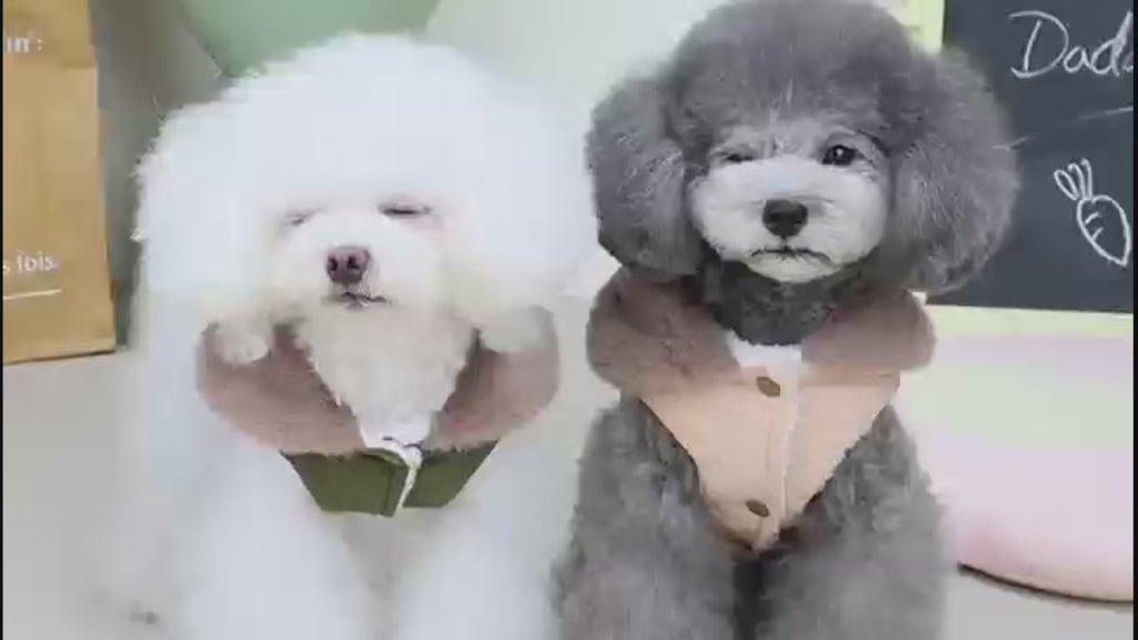 Köpek Mont Yağmurluk 24404117