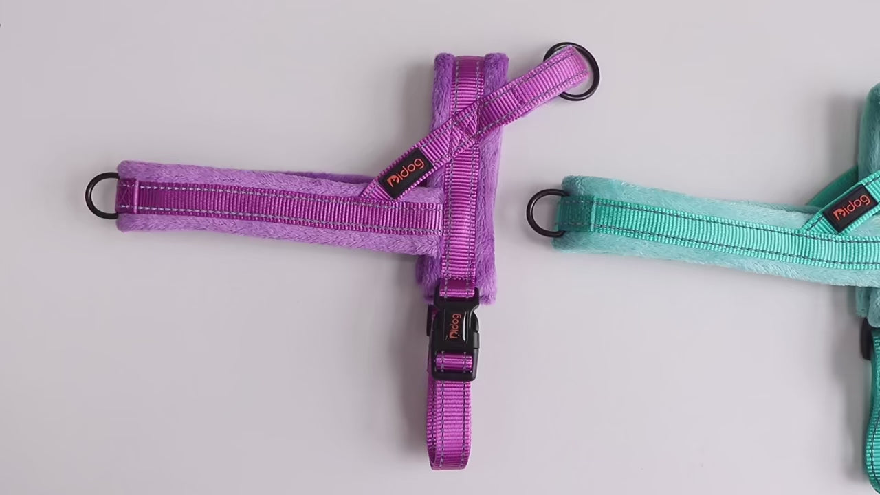 Köpek Göğüs Tasması Yastıklı Reflective 869512